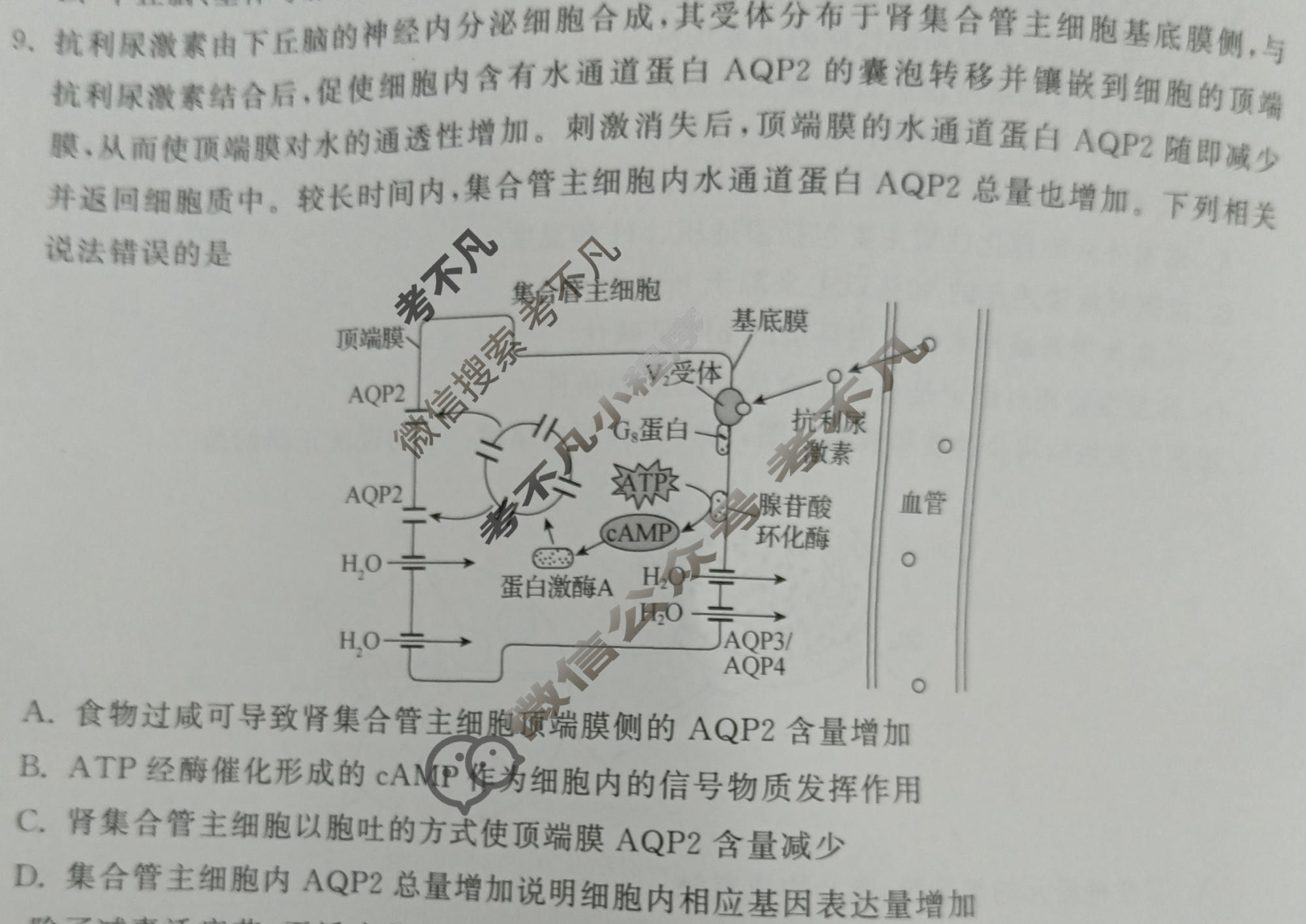 衡中同卷 2022-2023学年度高三一轮复习滚动卷 新教材版W 生物(二)2试题