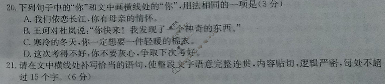2023年普通高等学校招生全国统一考试·仿真模拟卷(四)4语文试题