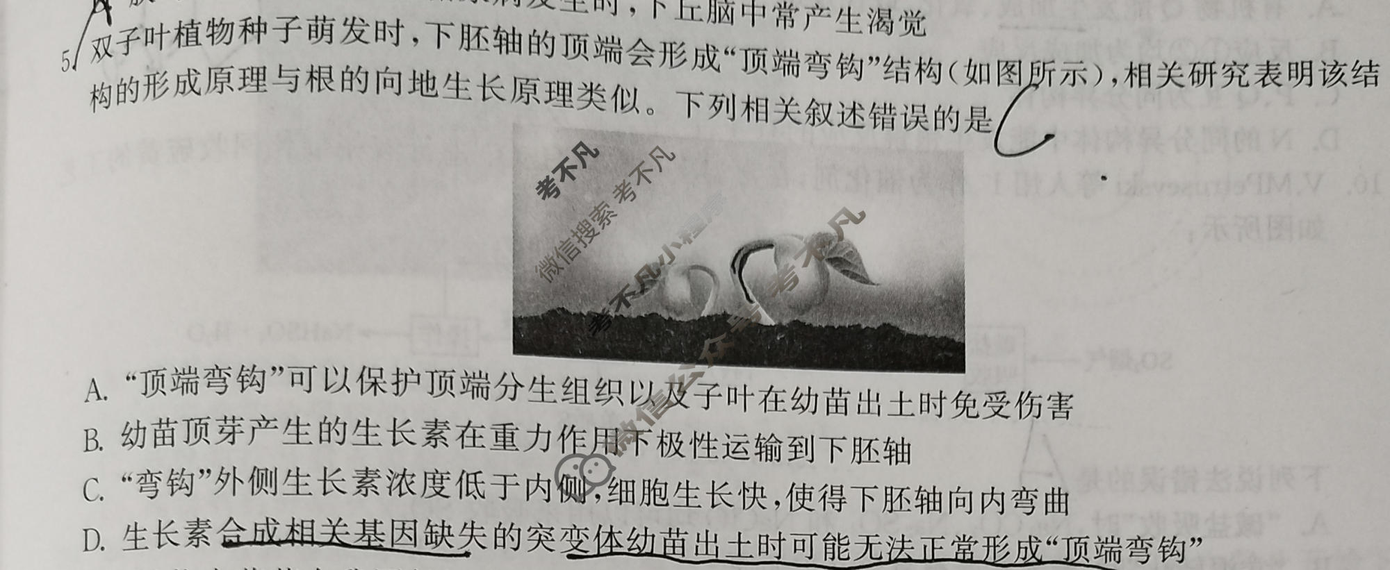 2023年衡中同卷 调研卷[全国卷B]理科综合(五)5试题