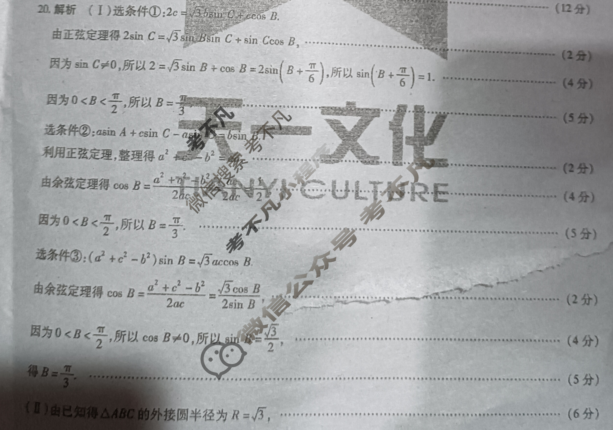 天一大联考 2022-2023学年高中毕业班阶段性测试(二)2数学(新高考版)答案