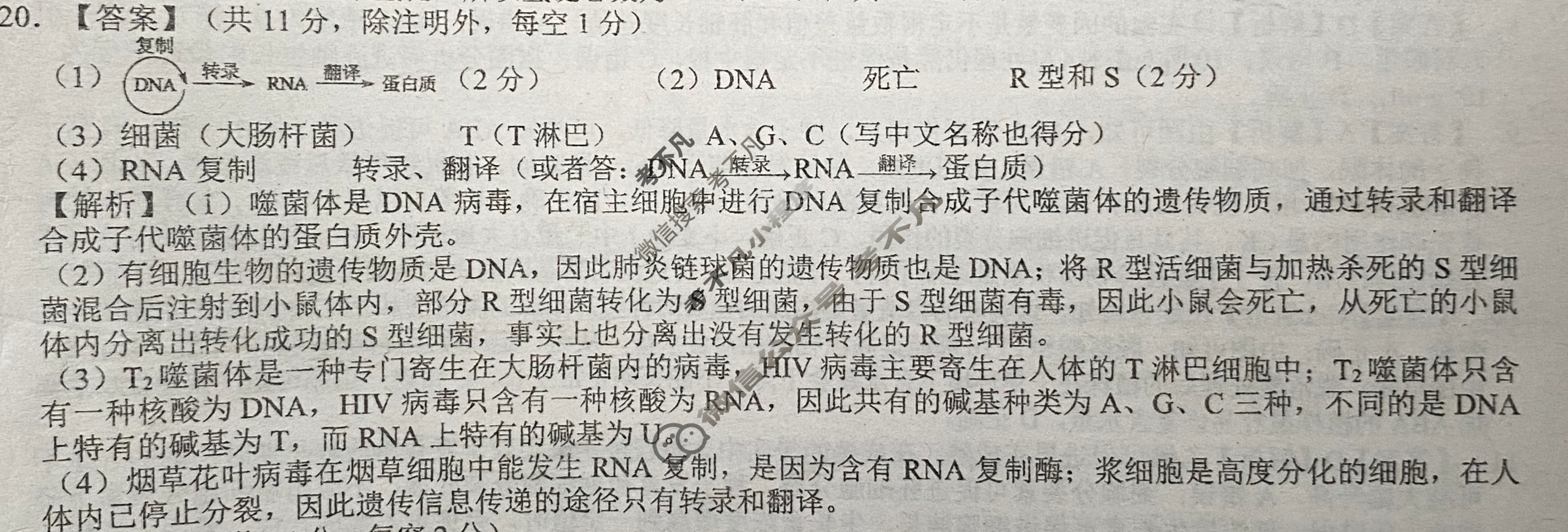 2023届专题05生物C版答案
