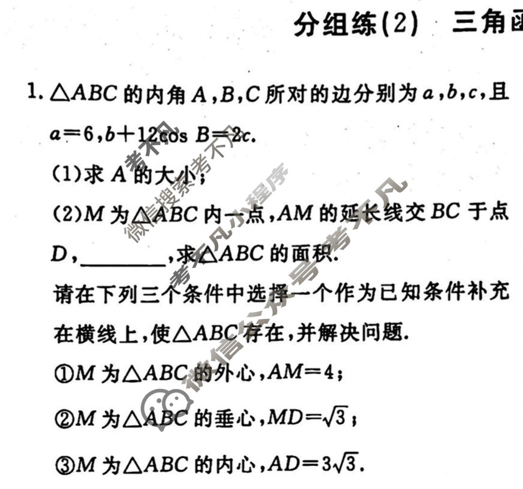 2022-2023学年衡水金卷先享题 专项分组练[新高考]数学 高考大题分组练(2)试题