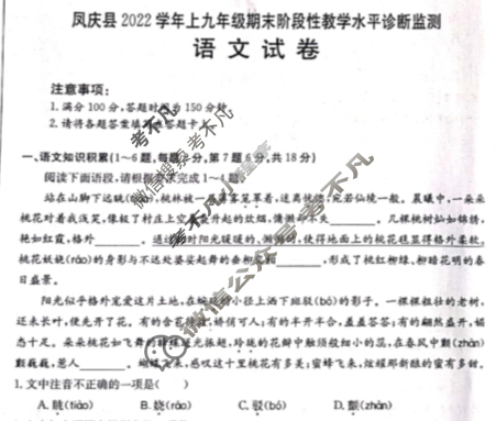 云南省凤庆县2022-2023学年上学期九年级期末阶段性教学水平诊断监测(23-CZ70c)语文试题