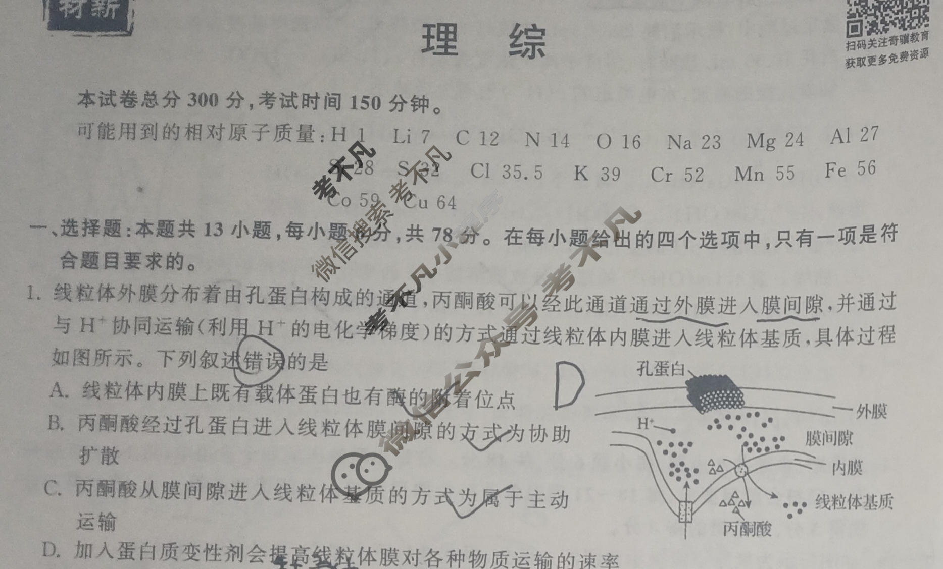 衡中同卷 2022-2023学年度上学期高三年级七调考试[新教材版]理综试题