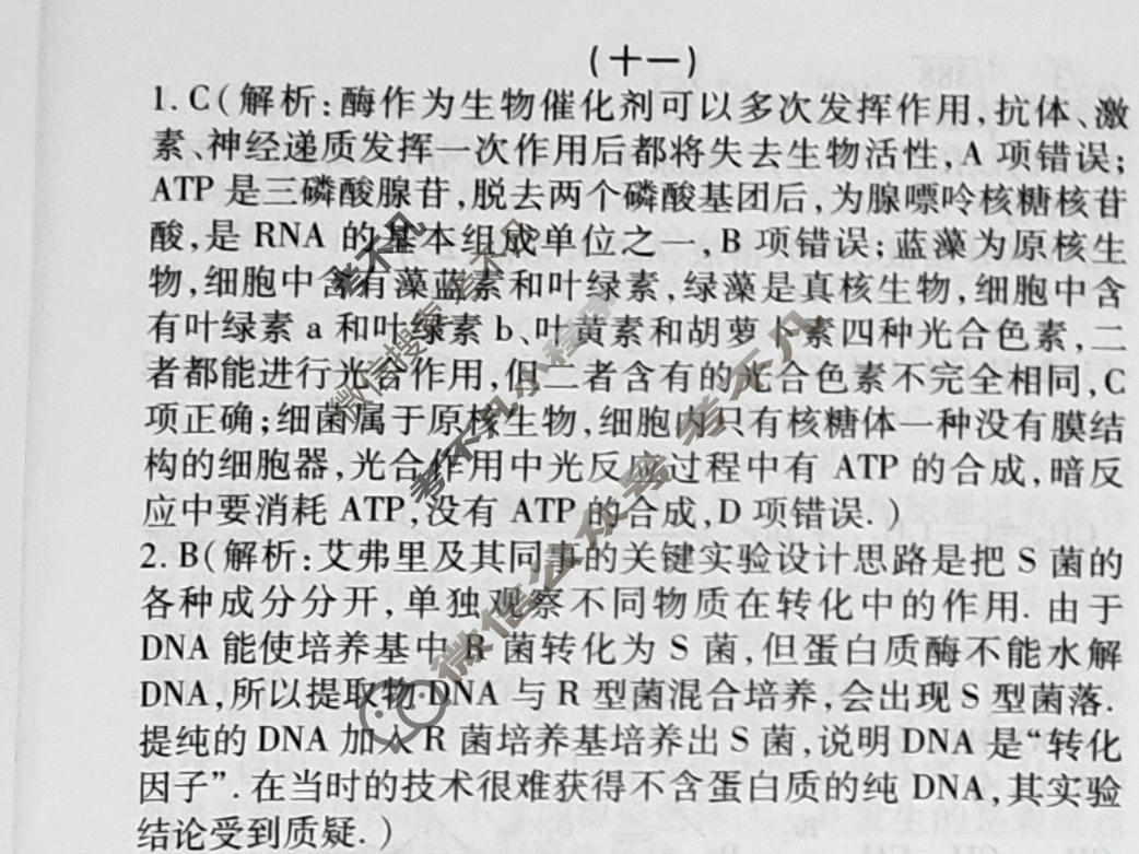 群力模拟卷·2023届高三第十一次理科综合答案