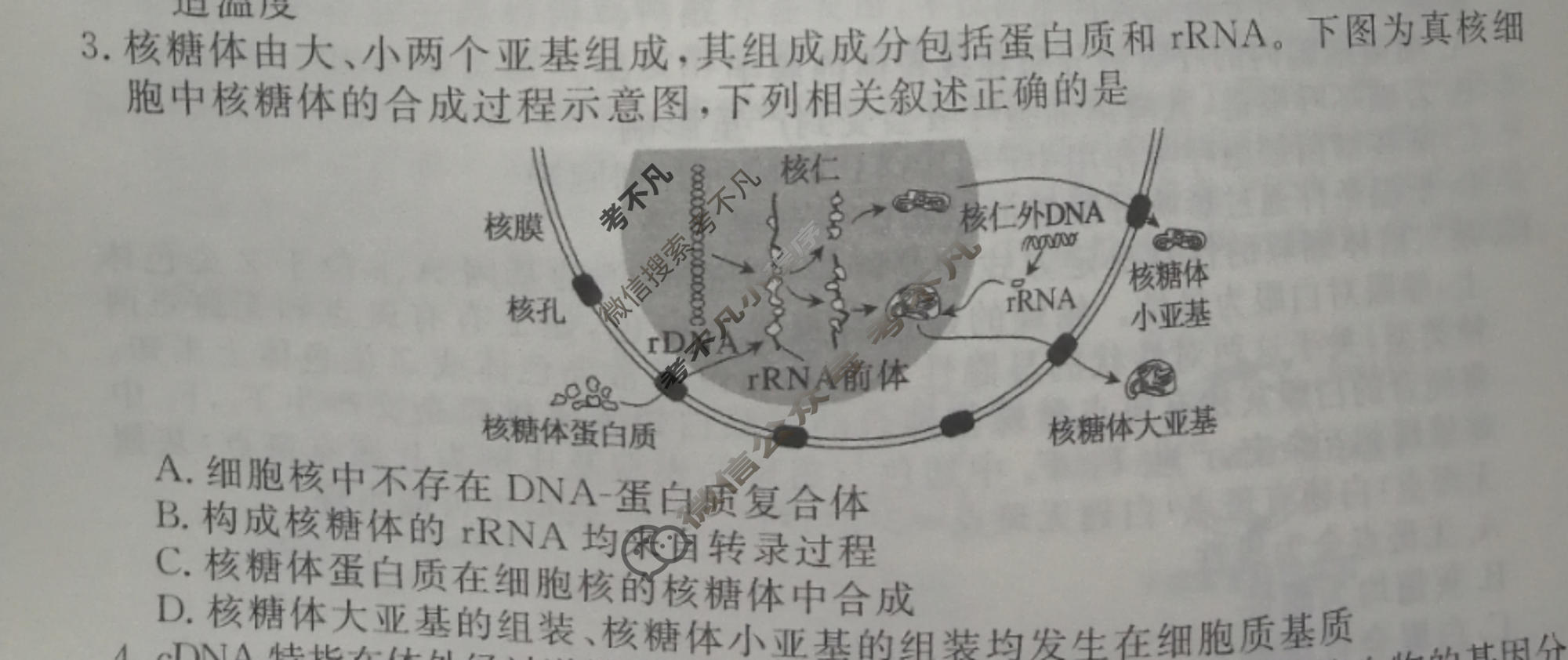 2023届衡水金卷先享题 信息卷[河北专版]生物学(二)2试题