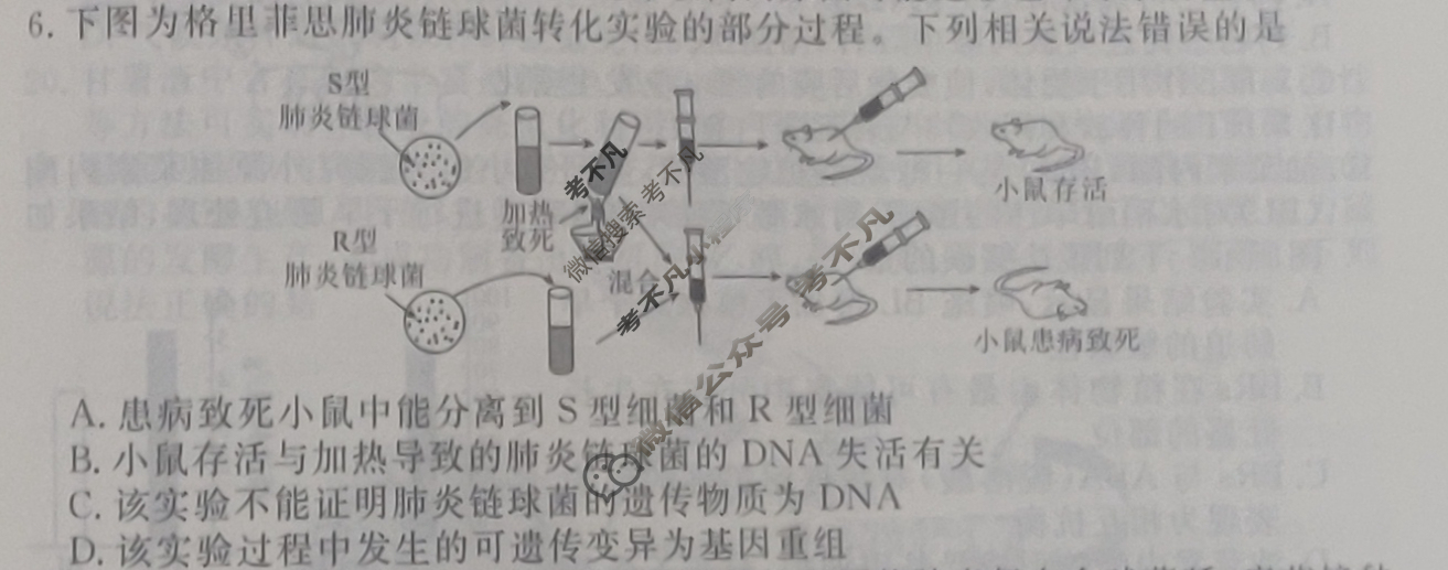2023届衡水金卷先享题 信息卷[山东专版]生物学(六)6试题