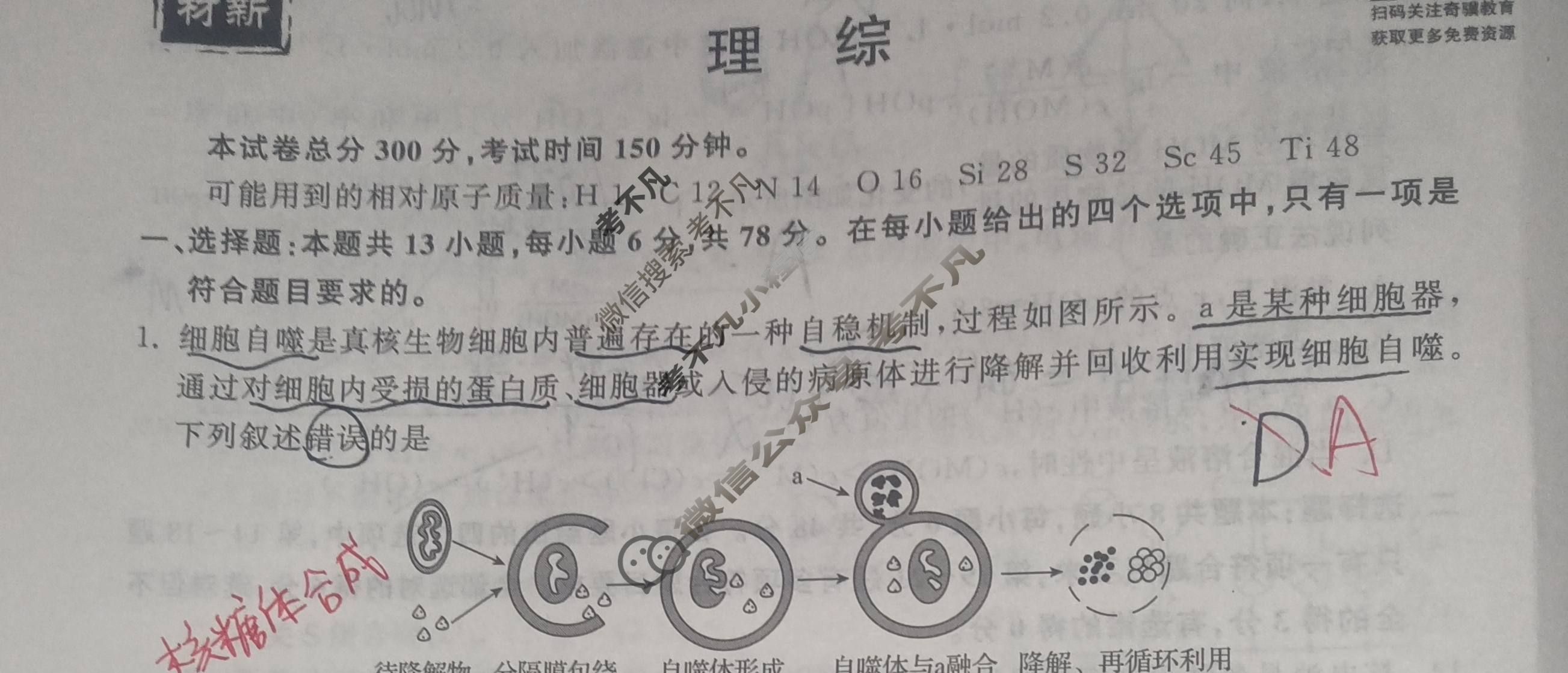 衡中同卷 2022-2023学年度下学期高三年级三调考试[新教材版]理综试题