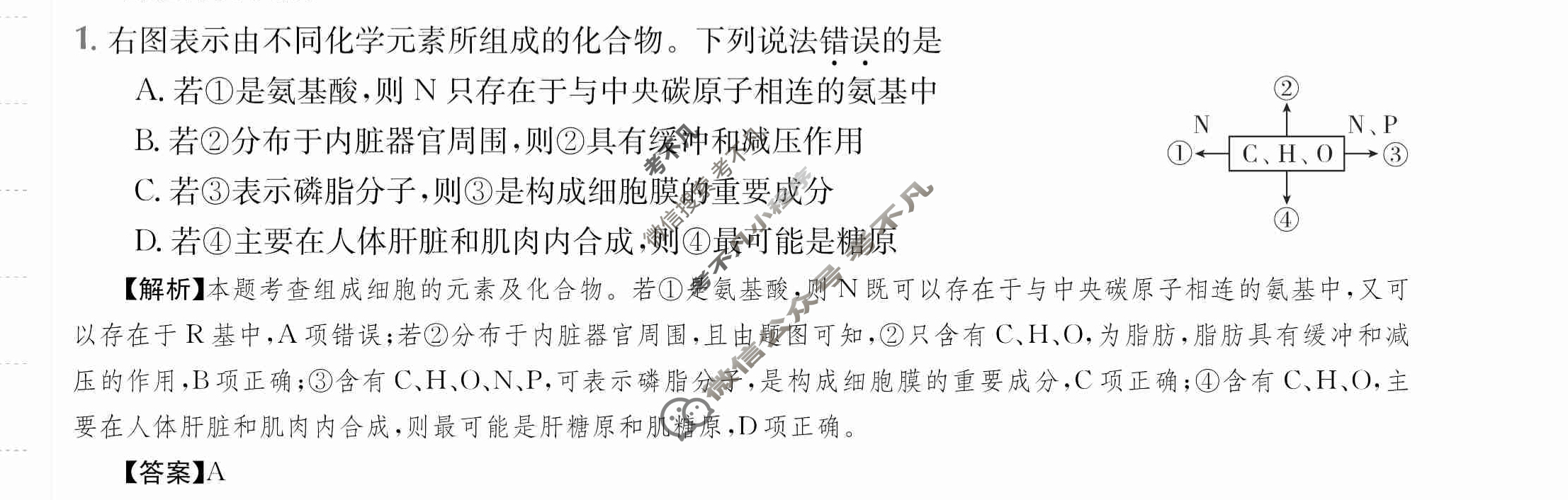 2024年高三第一轮复习周测卷[24·G3ZCJ(新高考)·生物学-R-必考-HEB]生物学(二)2答案