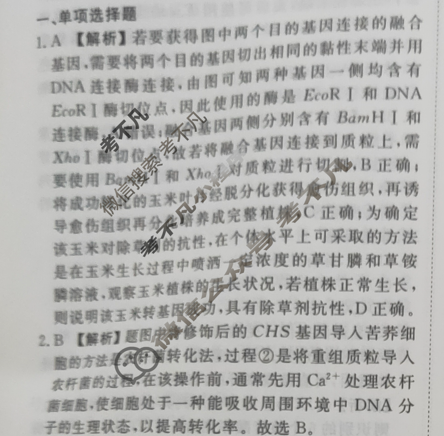 2023-2024衡水金卷先享题 高三一轮复习40分钟周测卷[河北专版]生物学(二十八)28答案