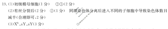 承德市2022~2023学年高一年级第二学期金太阳期末考试(23-542A)生物答案