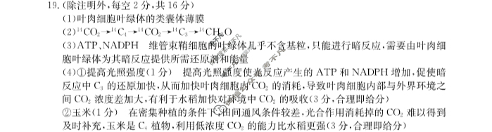 湖北省恩施州高中教育联盟2023年春季学期高一年级金太阳期末考试(23-574A)生物答案