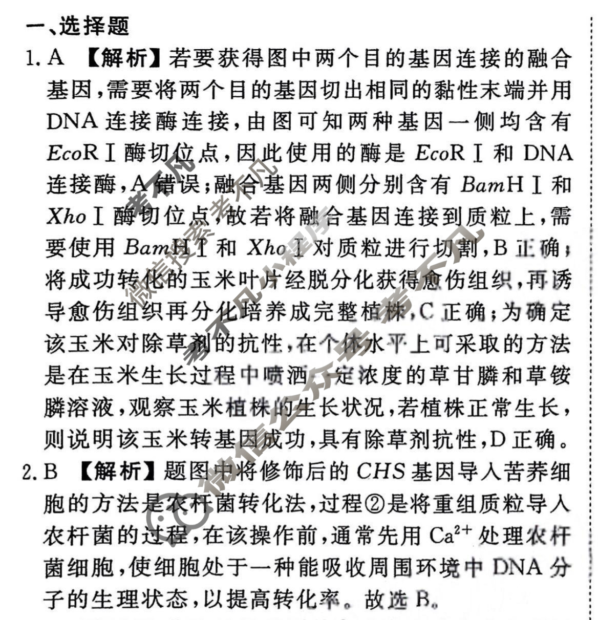 2023-2024衡水金卷先享题 高三一轮复习40分钟周测卷[新教材]生物学(二十八)28答案