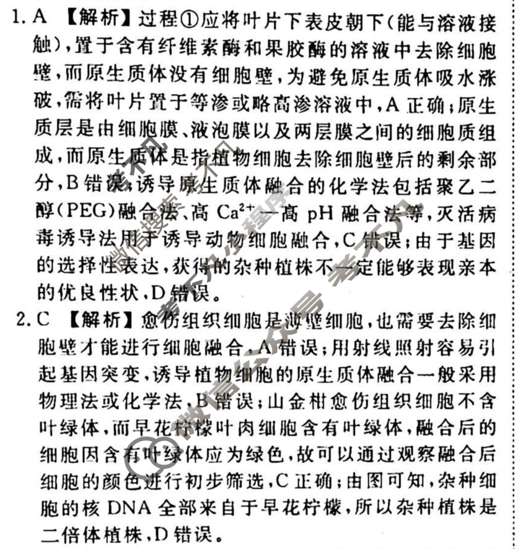 2023-2024衡水金卷先享题 高三一轮复习40分钟周测卷[湖南专版]生物学(二十四)24答案