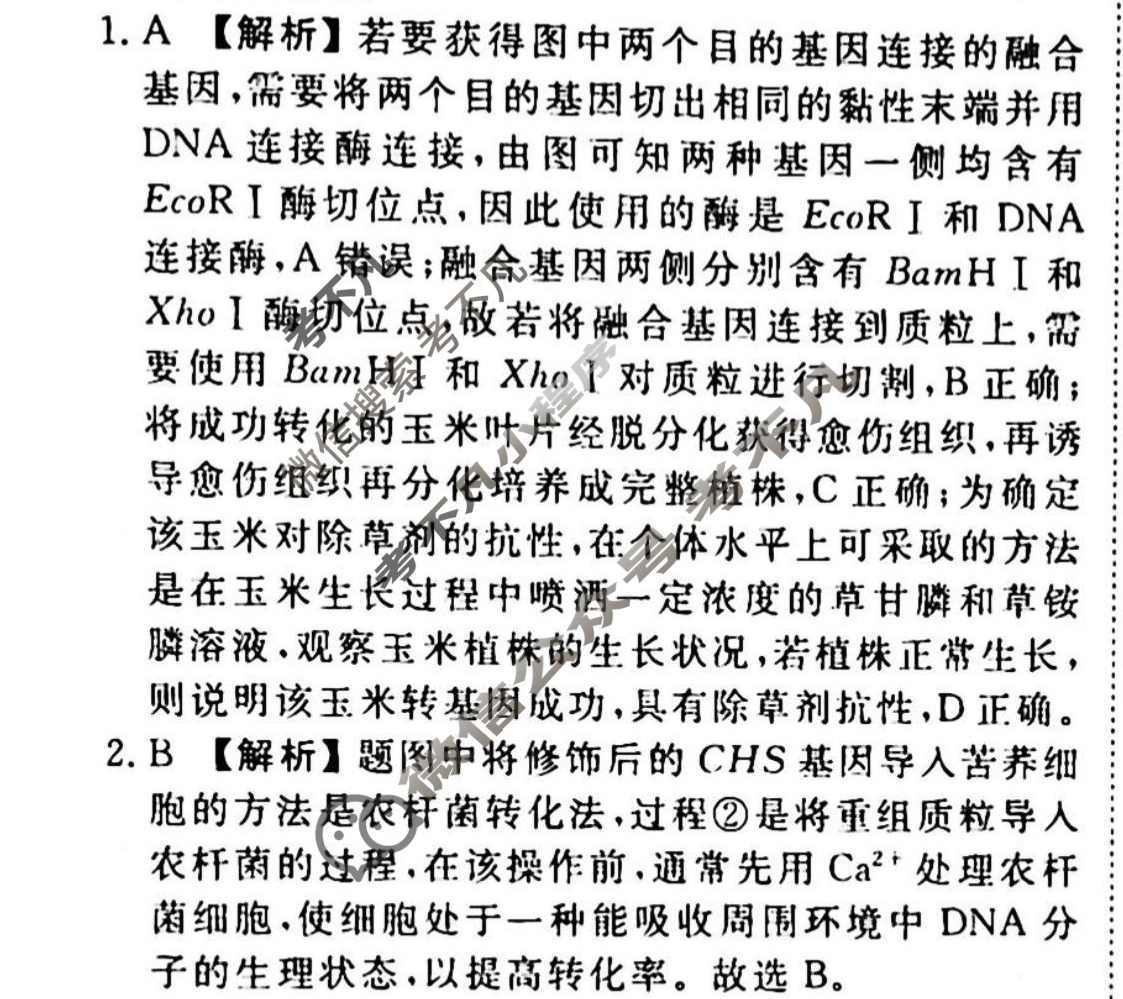 2023-2024衡水金卷先享题 高三一轮复习40分钟周测卷[湖南专版]生物学(二十五)25答案