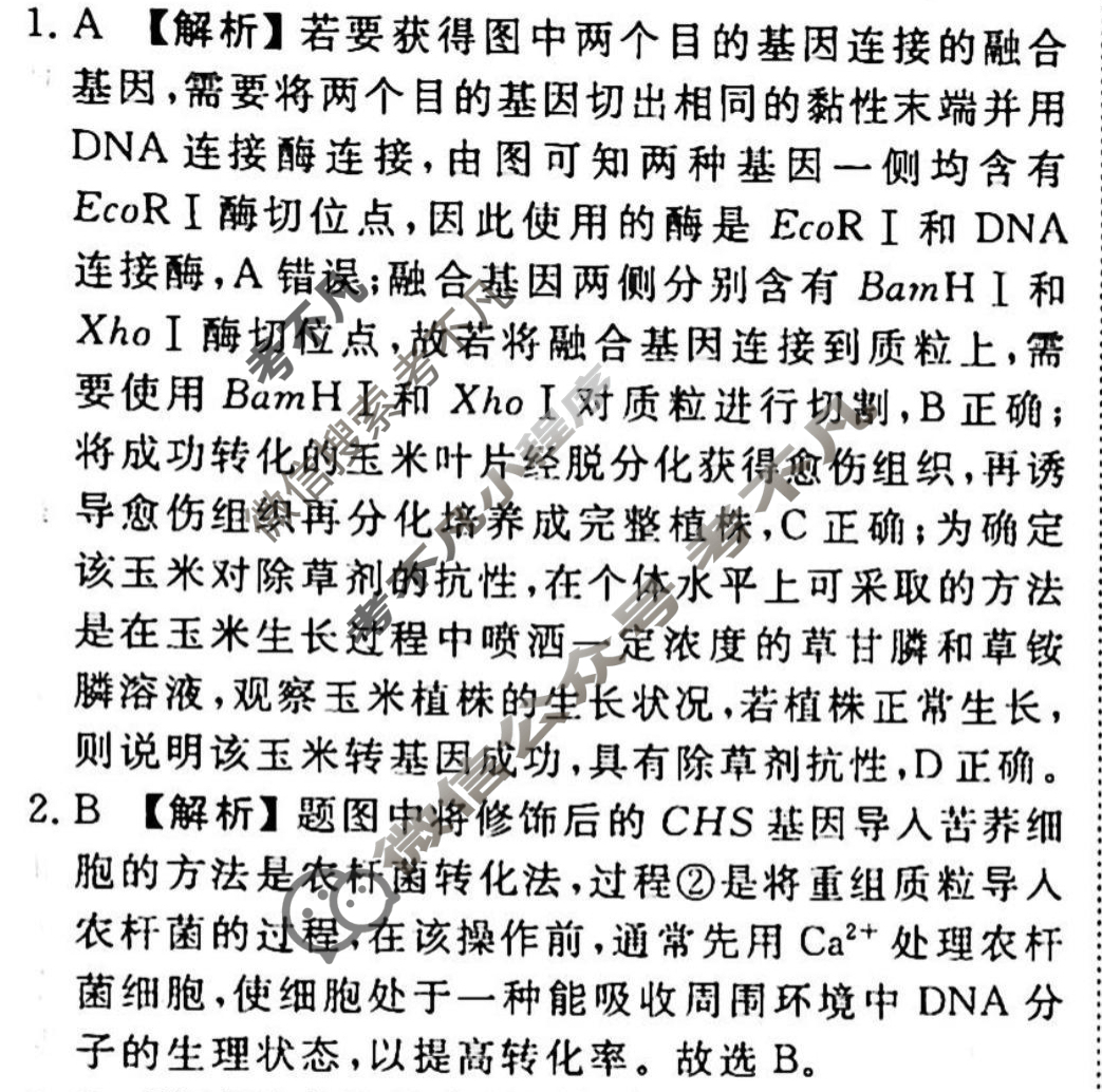 2023-2024衡水金卷先享题 高三一轮复习40分钟周测卷[重庆专版]生物学(二十八)28答案