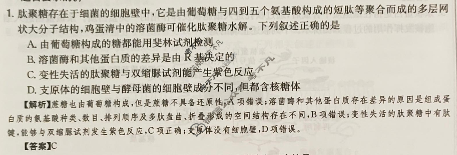 2024年高三第一轮复习周测卷[24·G3ZCJ·生物-R-必考-SX]生物(三)3答案