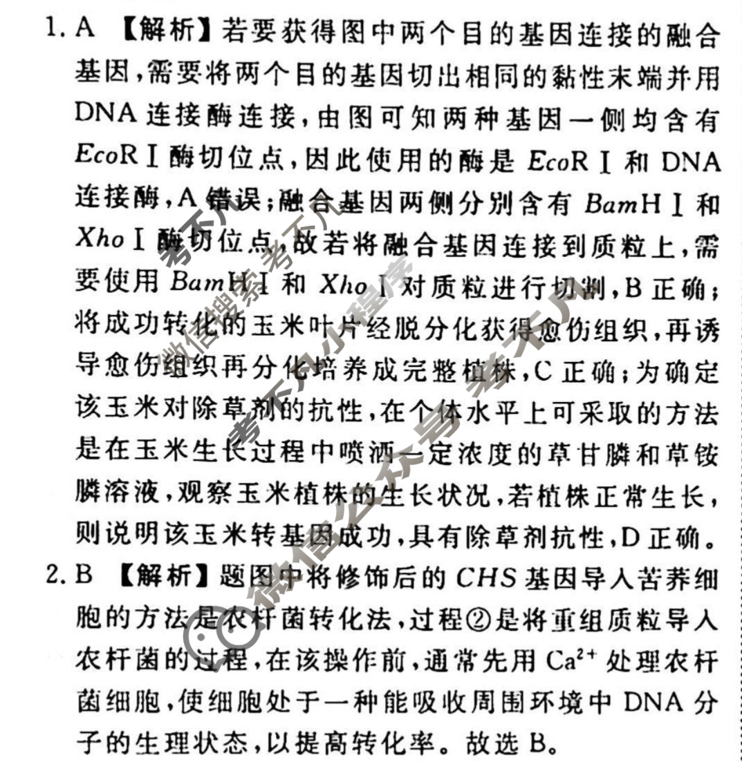 2023-2024衡水金卷先享题 高三一轮复习40分钟周测卷[JJ]生物(二十六)26答案