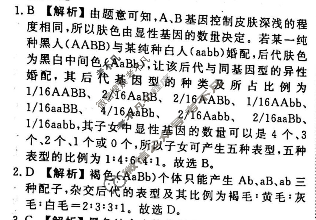 2023-2024衡水金卷先享题 高三一轮复习周测卷[新教材]生物(十)10答案