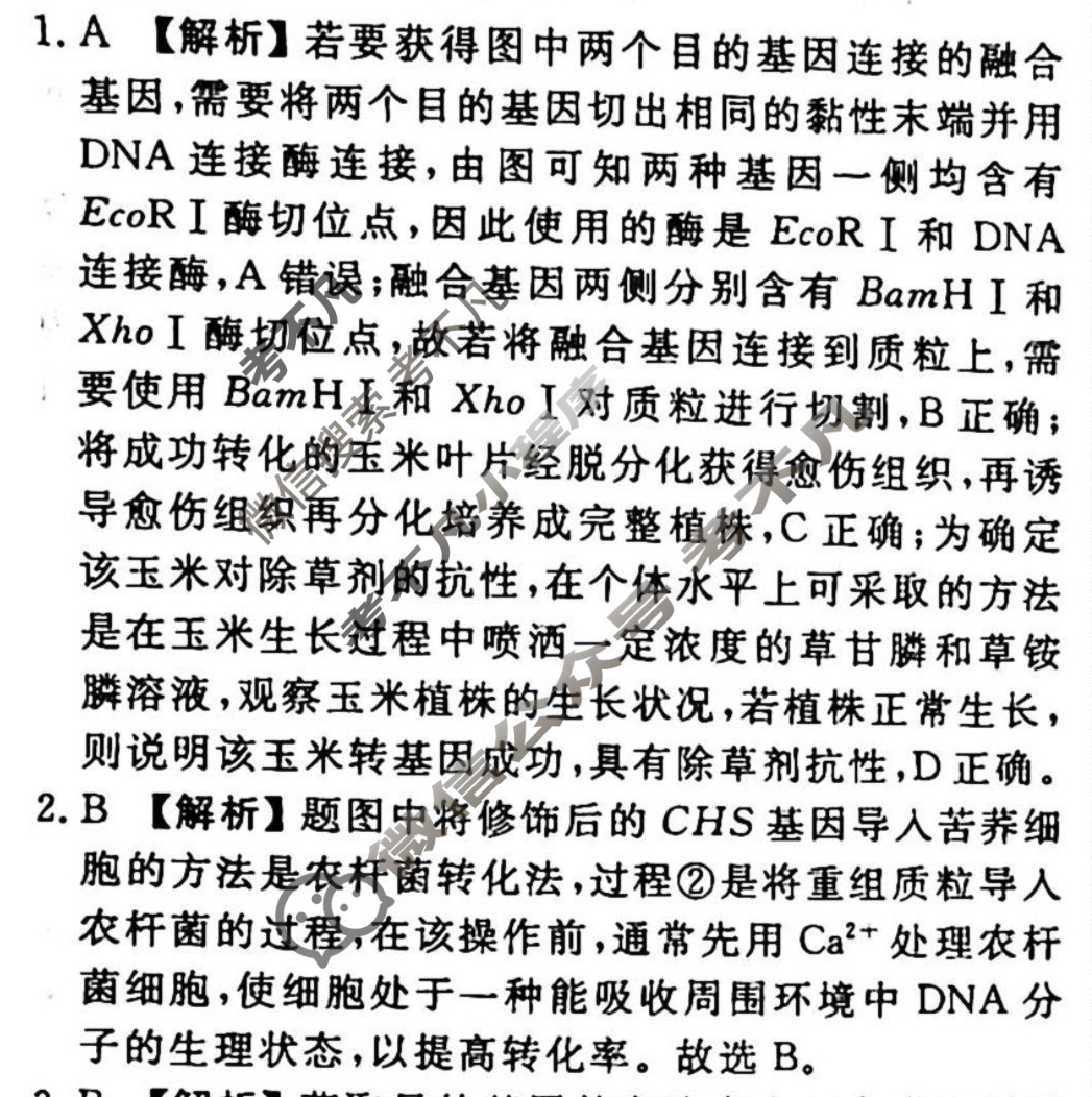 2023-2024衡水金卷先享题 高三一轮复习40分钟周测卷[湖北专版]生物学(二十八)28答案