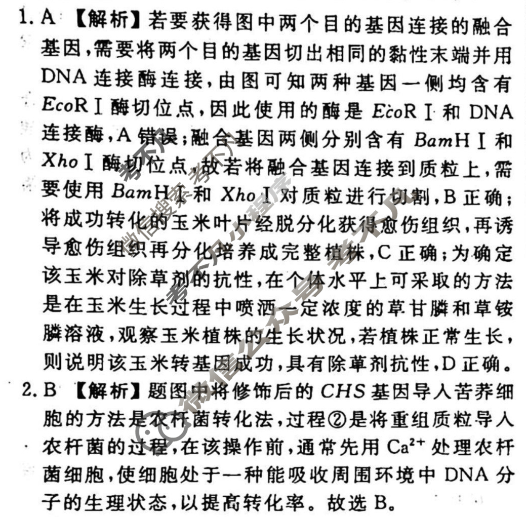 2023-2024衡水金卷先享题 高三一轮复习40分钟周测卷 生物学(二十八)28答案