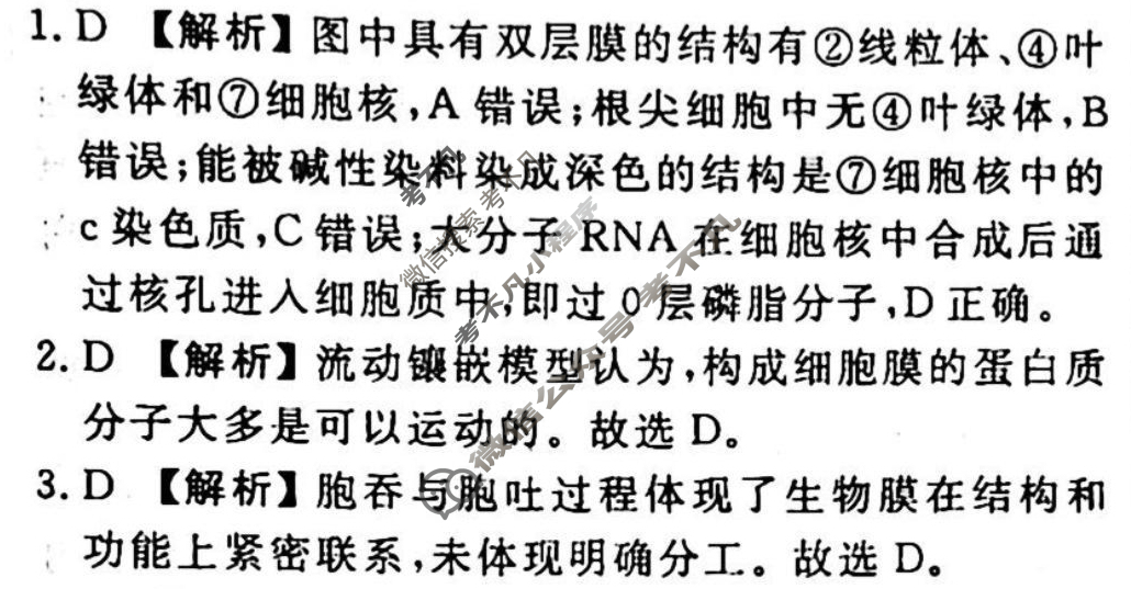 2023-2024衡水金卷先享题 高三一轮复习40分钟周测卷 生物学(三)3答案