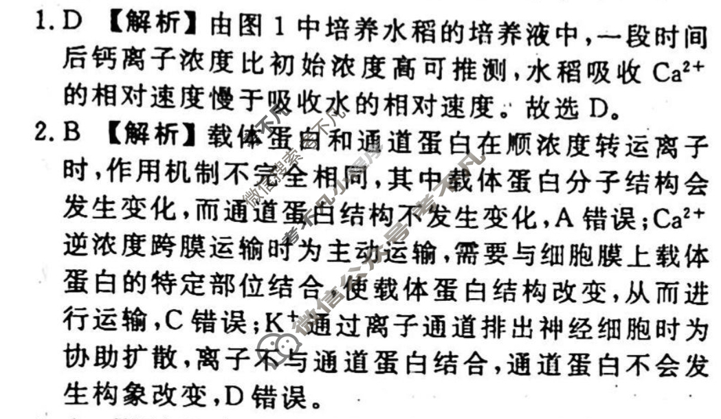 2023-2024衡水金卷先享题 高三一轮复习40分钟周测卷 生物学(四)4答案