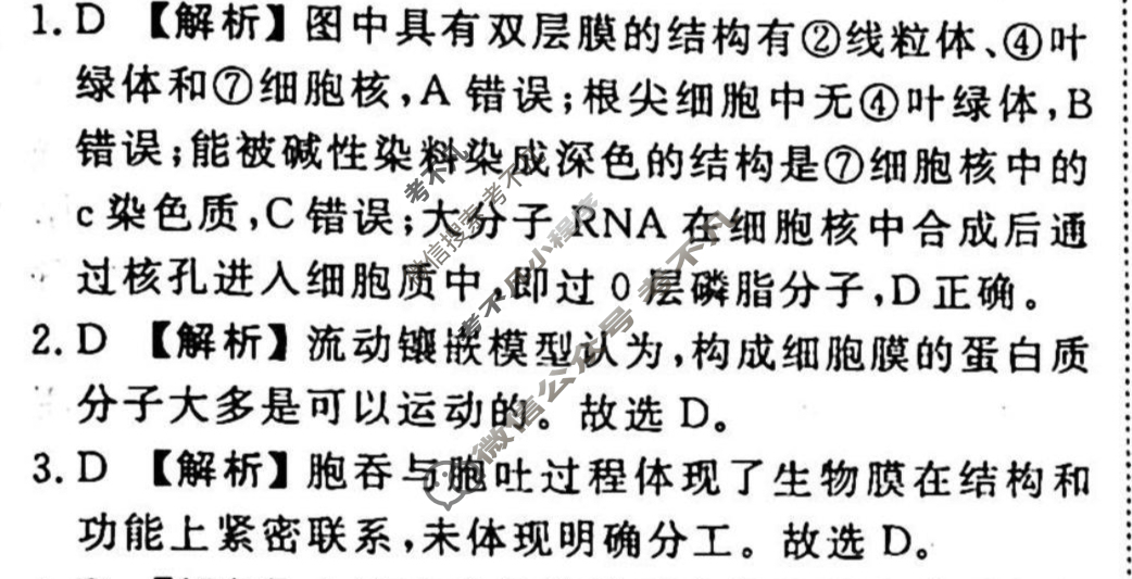 2023-2024衡水金卷先享题 高三一轮复习40分钟周测卷 生物学·SWX(三)3答案
