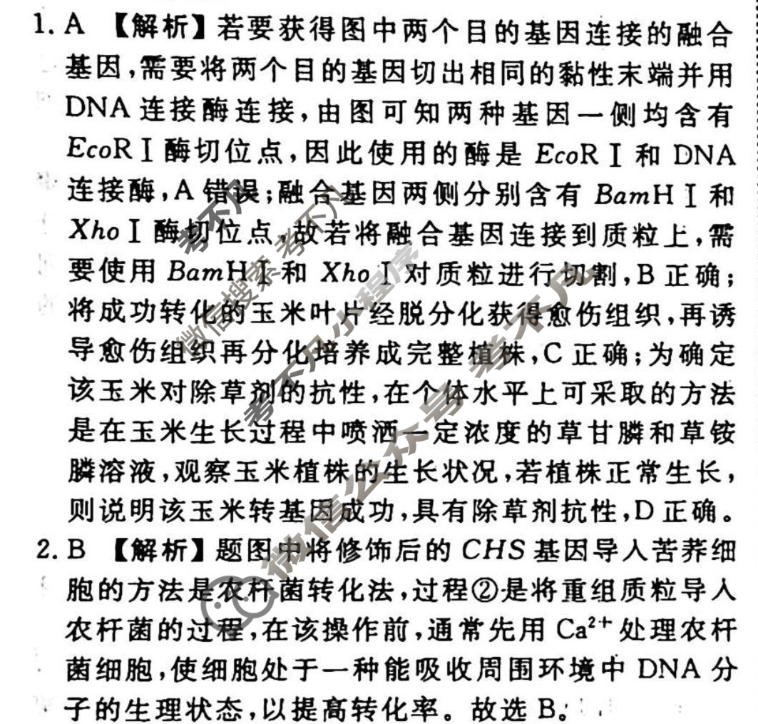 2023-2024衡水金卷先享题 高三一轮复习40分钟周测卷 生物学·SWX(二十八)28答案