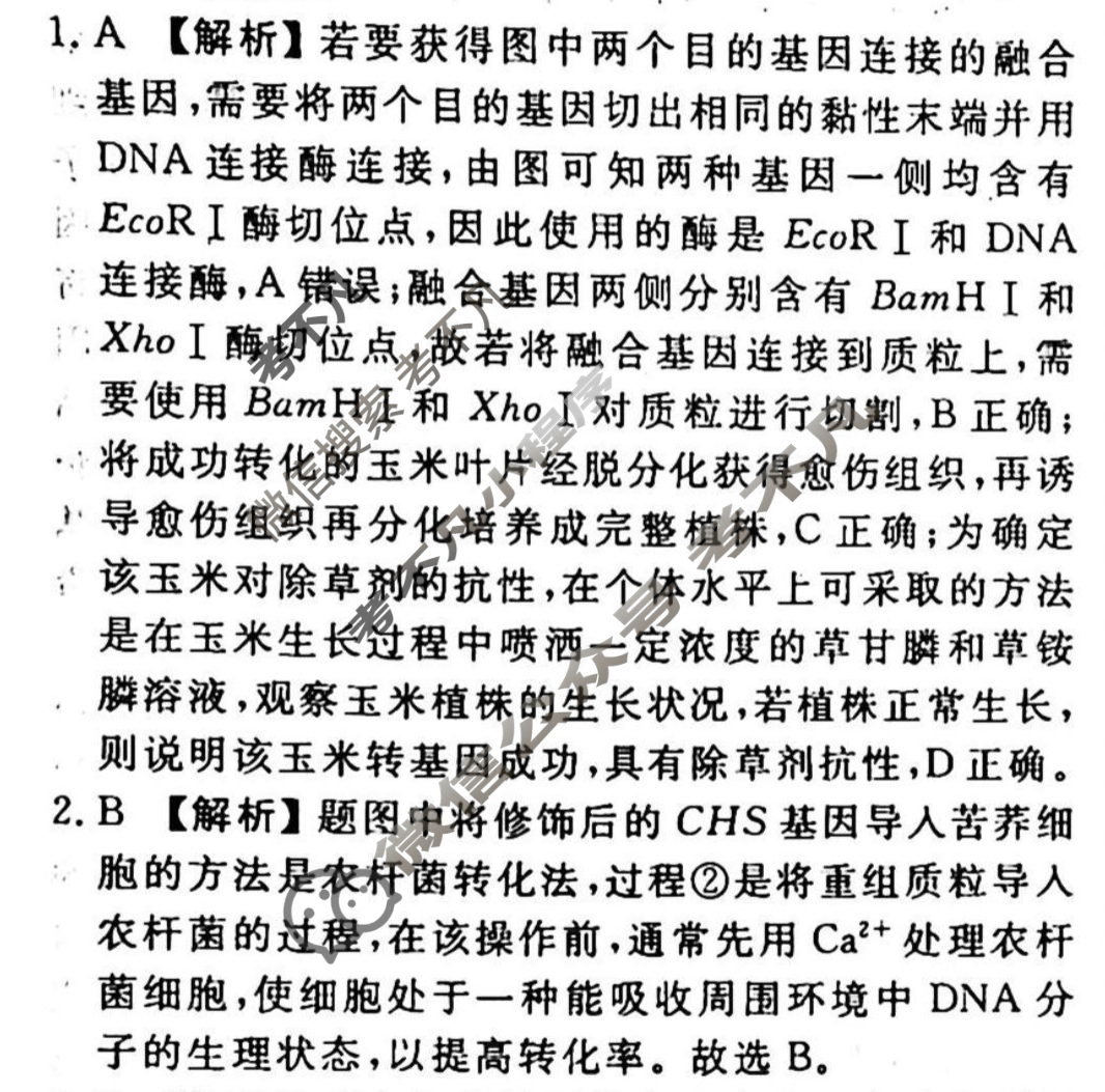 2023-2024衡水金卷先享题 高三一轮复习周测卷[江西专版]生物学(二十八)28答案