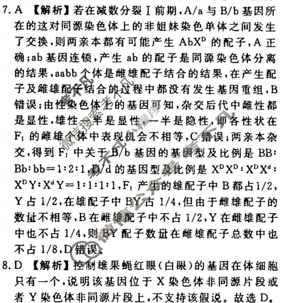 2023-2024衡水金卷先享题 高三一轮复习40分钟周测卷[广西专版]生物学(十二)12答案