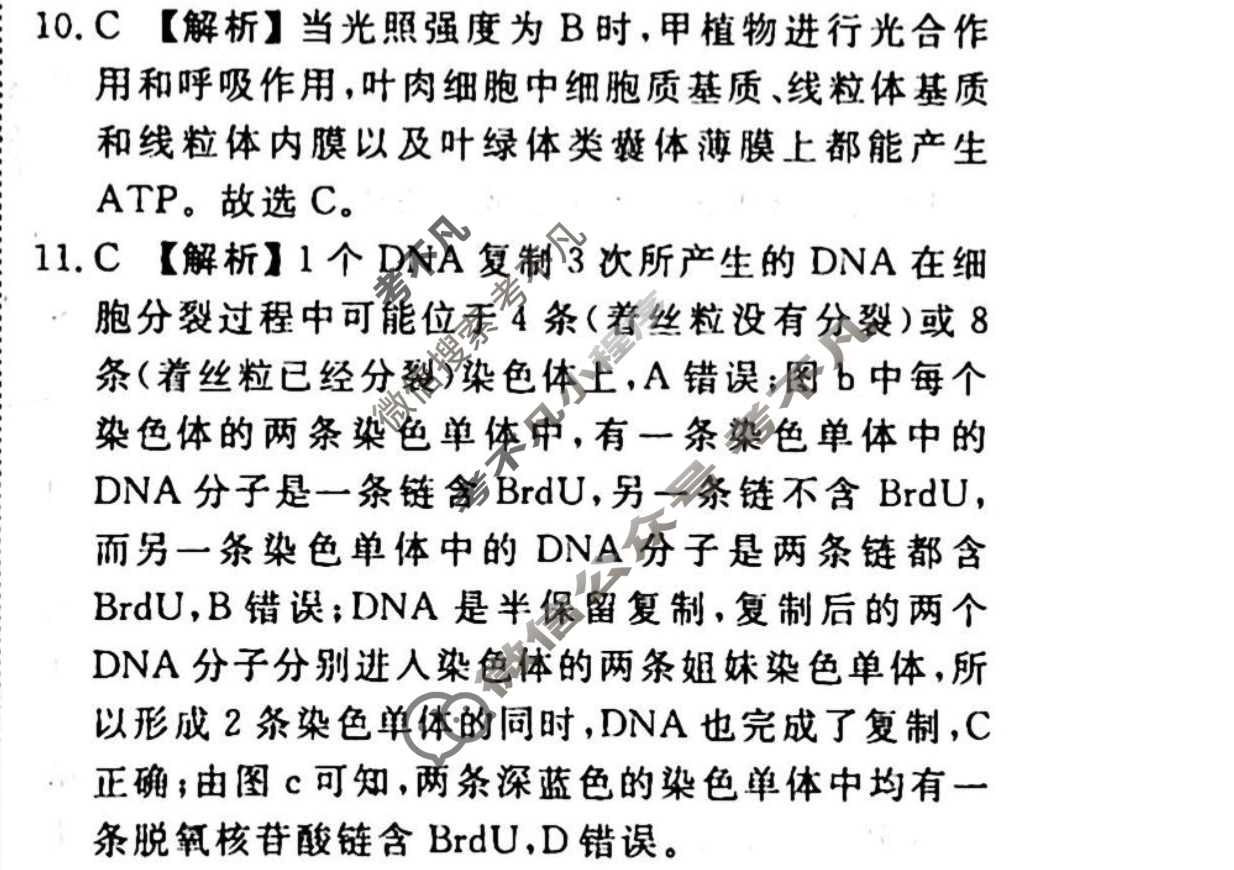 2023-2024衡水金卷先享题 高三一轮复习40分钟周测卷[广西专版]生物学(八)8答案