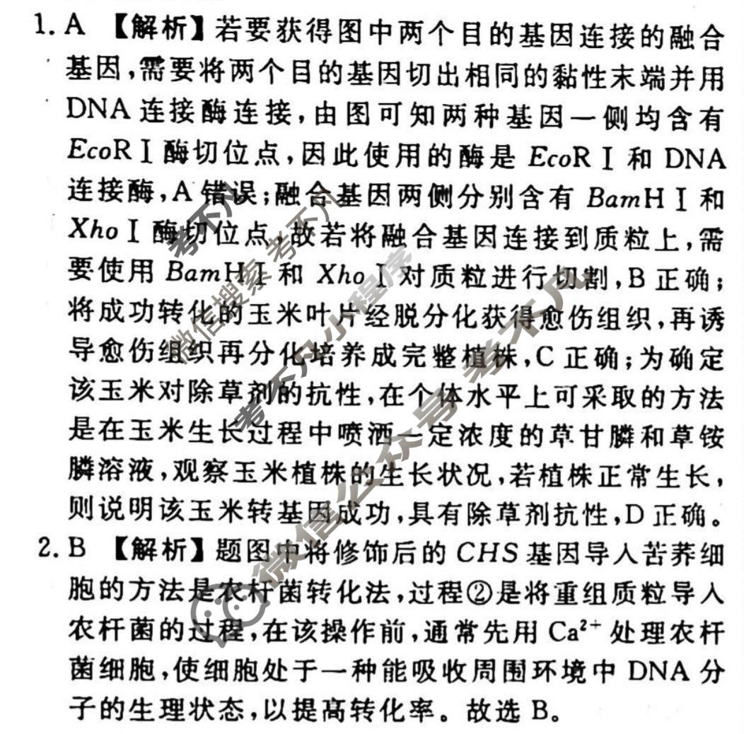 2023-2024衡水金卷先享题 高三一轮复习40分钟周测卷[广西专版]生物学(二十八)28答案