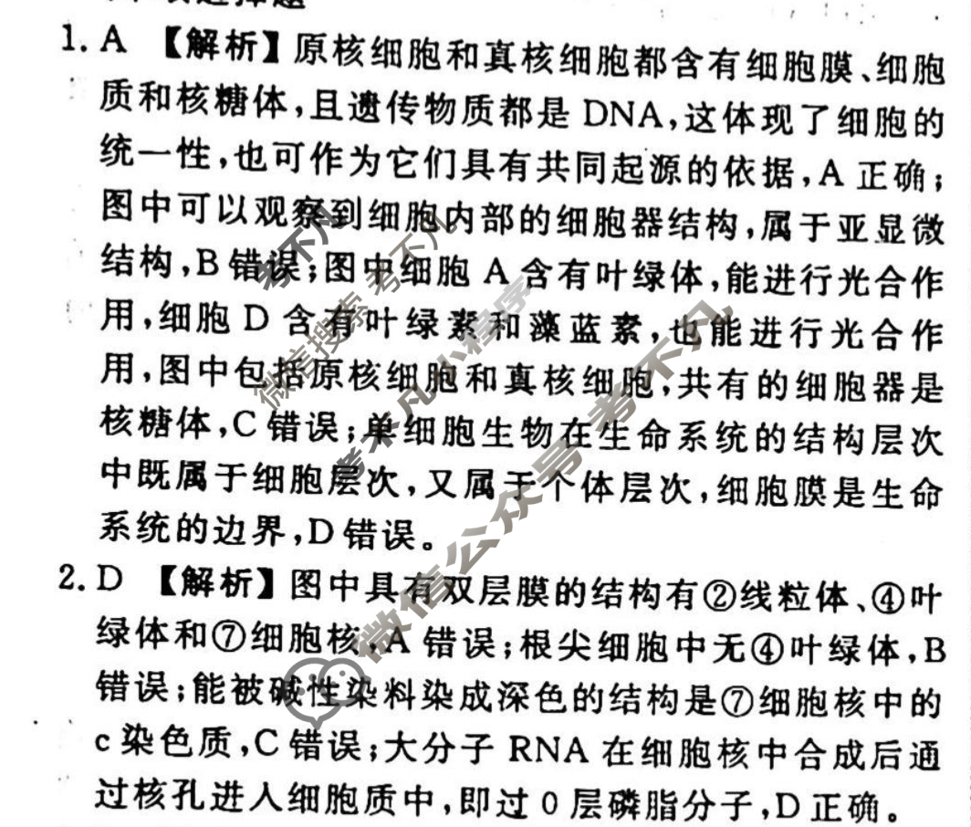 2023-2024衡水金卷先享题 高三一轮复习40分钟周测卷[广西专版]生物学(三)3答案