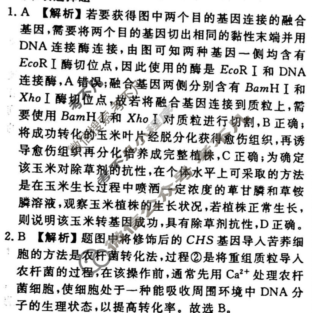 2023-2024衡水金卷先享题 高三一轮复习40分钟周测卷[辽宁专版]生物学(二十八)28答案