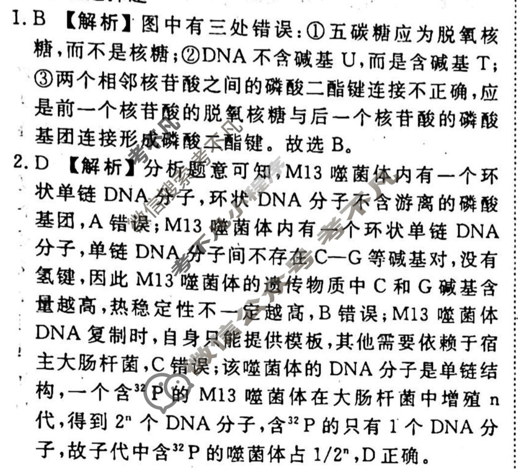 2023-2024衡水金卷先享题 高三一轮复习40分钟周测卷[山东专版]生物学(十四)14答案