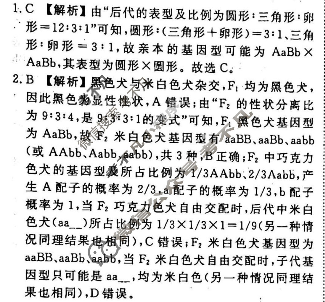 2023-2024衡水金卷先享题 高三一轮复习40分钟周测卷[山东专版]生物学(十)10答案