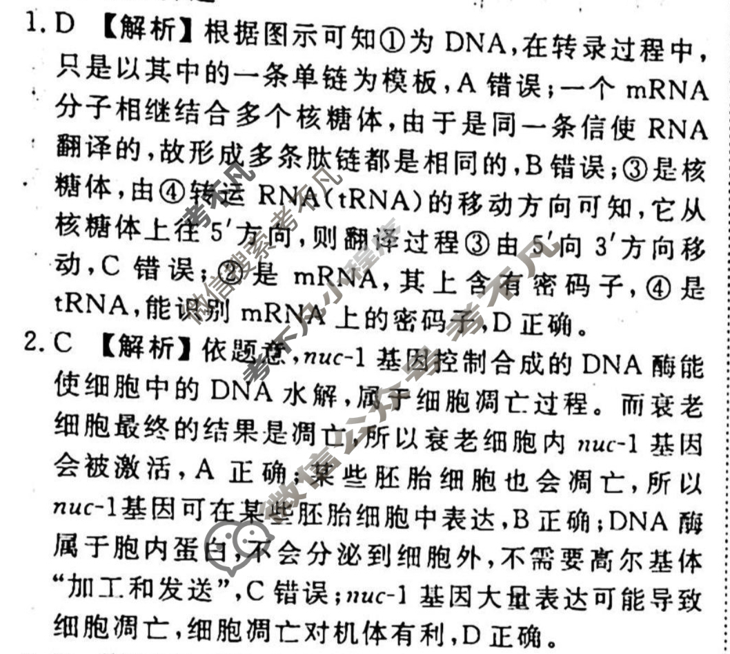 2023-2024衡水金卷先享题 高三一轮复习40分钟周测卷[山东专版]生物学(十五)15答案