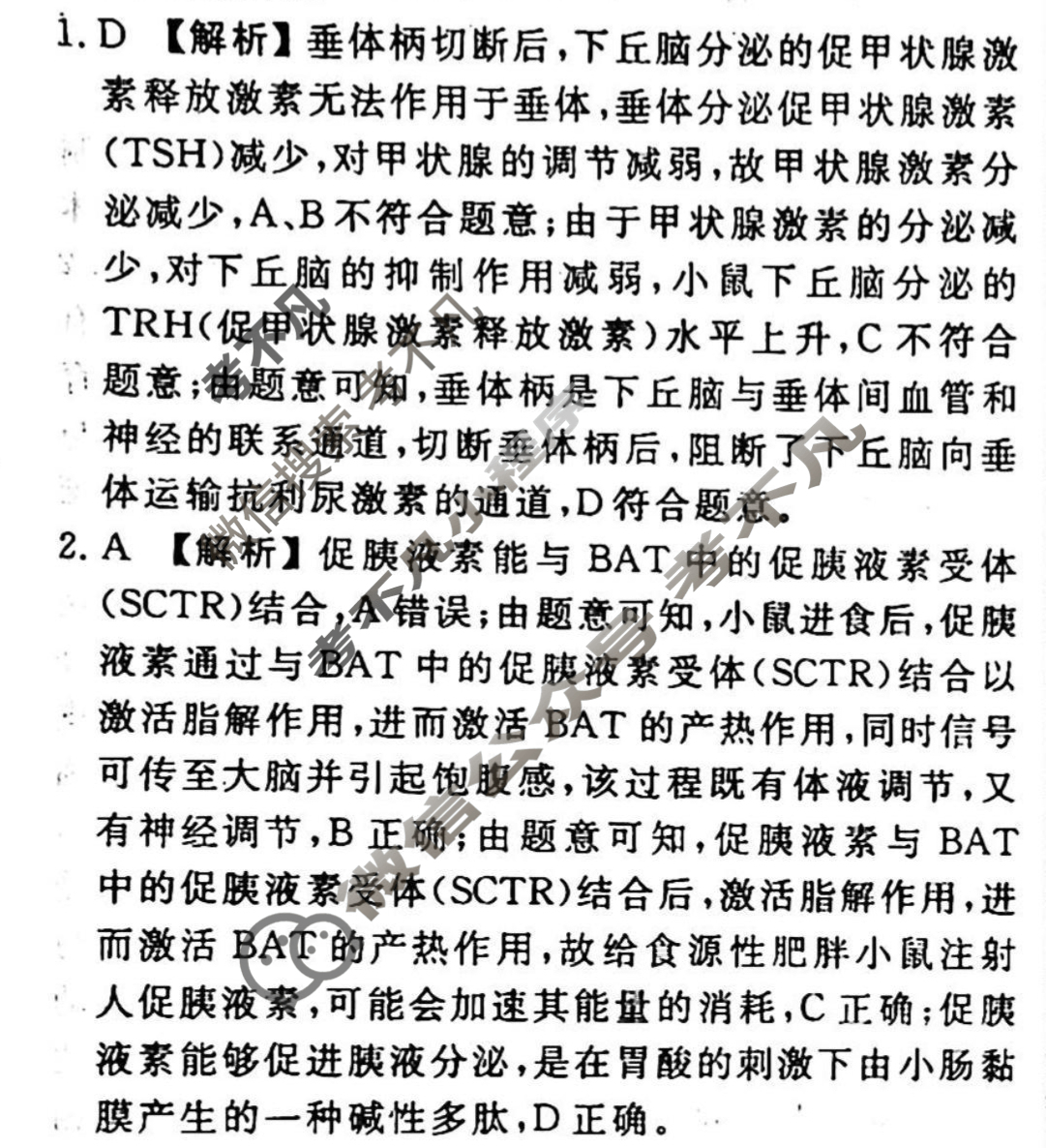 2023-2024衡水金卷先享题 高三一轮复习40分钟周测卷[山东专版]生物学(二十)20答案