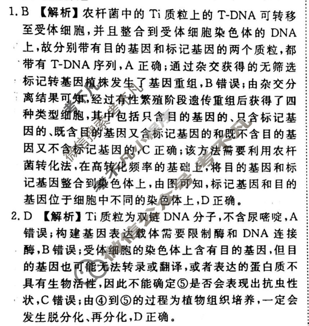 2023-2024衡水金卷先享题 高三一轮复习40分钟周测卷[山东专版]生物学(二十八)28答案