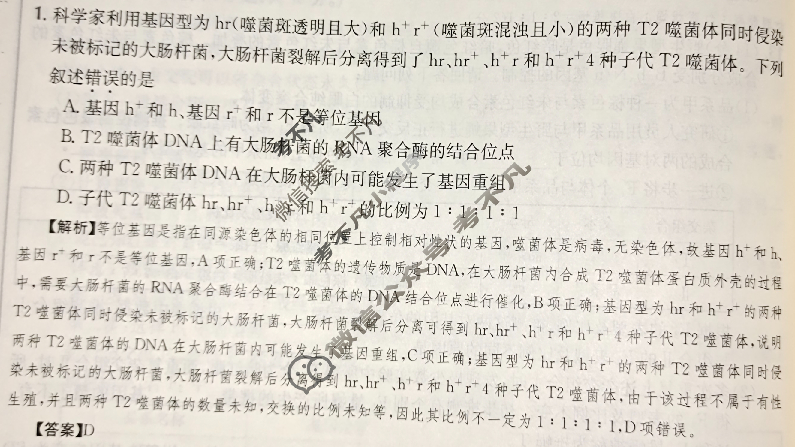2024年高三第一轮复习周测卷[24·G3ZCJ(新高考)·生物学-R-必考-QGB]生物(十三)13答案