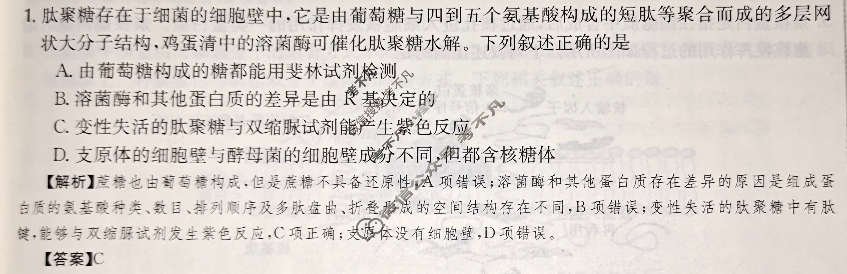 2024年高三第一轮复习周测卷[24·G3ZCJ(新高考)·生物学-R-必考-QGB]生物(三)3答案