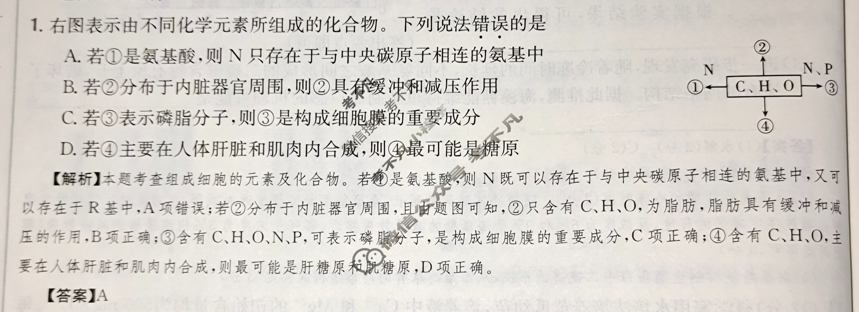 2024年高三第一轮复习周测卷[24·G3ZCJ(新高考)·生物学-R-必考-QGB]生物(二)2答案