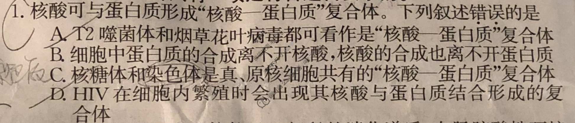 高三2024届新高考普通高中学业水平选择性考试F-XKB-L(二)2生物试题