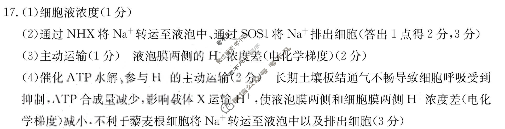 广东省2024届高三试卷金太阳9月联考(24-34C)生物答案