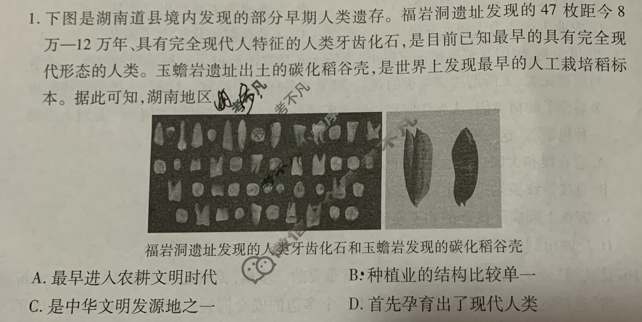 衡水金卷先享题(摸底卷) 2023-2024学年度高三一轮复习摸底测试卷[湖南专版] 历史(一)1试题