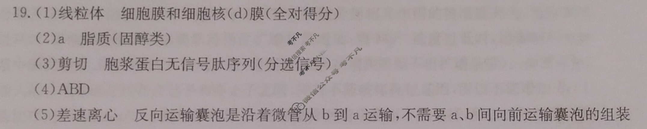 金太阳2024届江苏省百校联考高三年级第一次考试(24-17C)生物答案