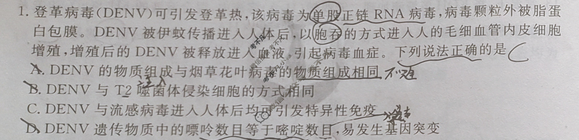 衡水金卷先享题(摸底卷) 2023-2024学年度高三一轮复习摸底测试卷[新教材B] 理综(三)3试题