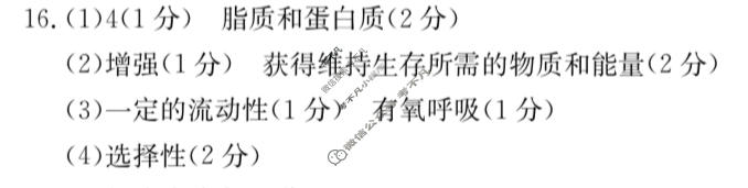河南省金太阳2024届高三阶段性考试(24-68C)生物答案