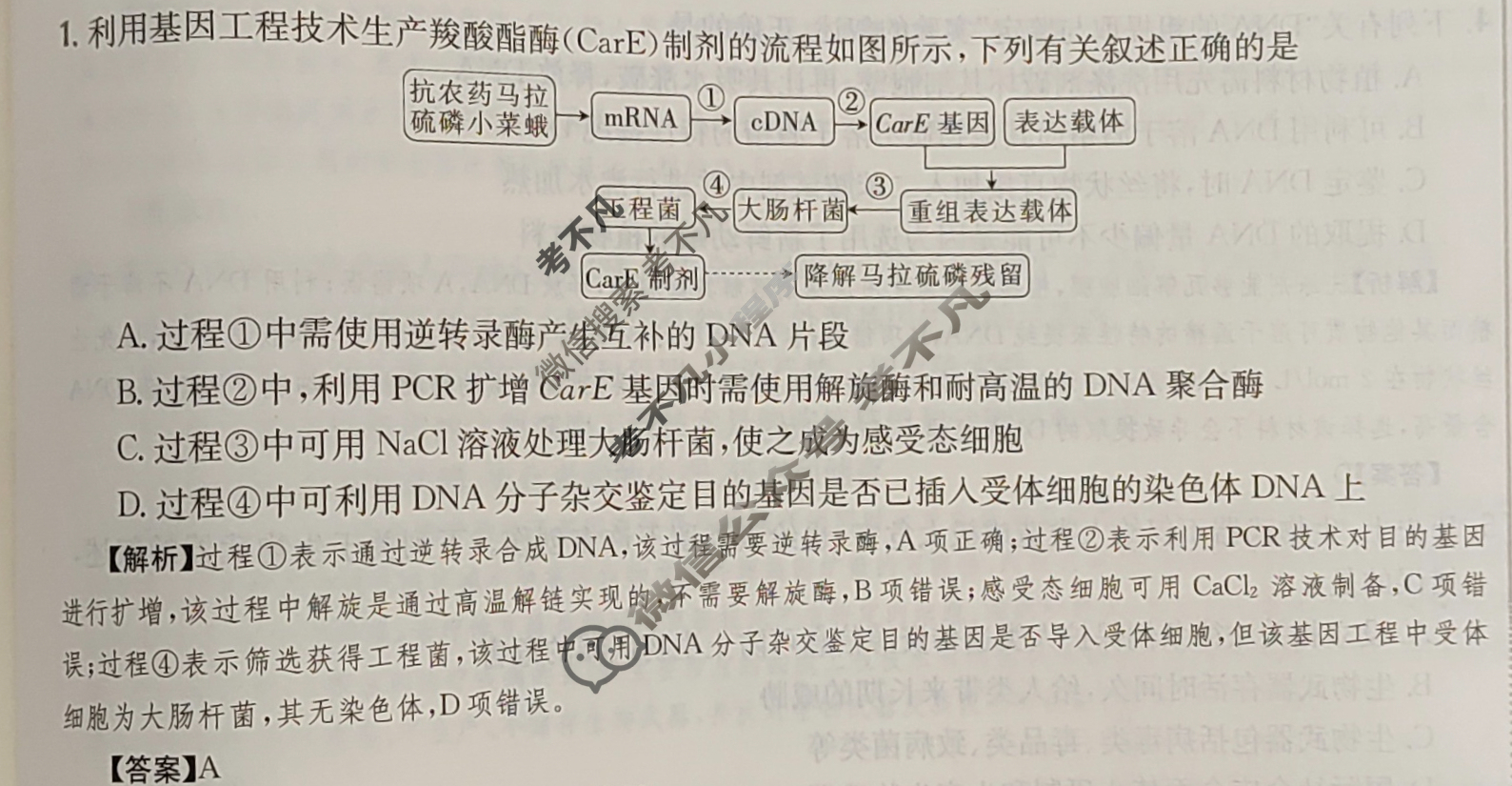 2024年高三第一轮复习周测卷[24·G3ZCJ(新高考)·生物学-R-必考-G DONG]生物学(二十八)28答案